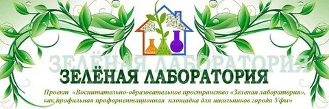 Программа дополнительного образования лаборатория