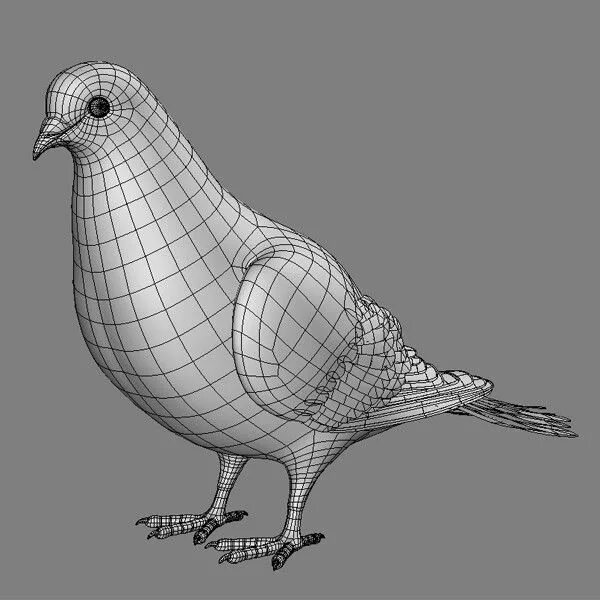 Модель птицы. Спэрроу 3д. Попугай на 3д принтере. Птица 3д модель. Птица 3д.