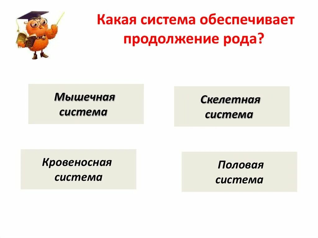 Системы какой род. Продолжение рода. Продолжение рода человека. Что какие системы. Обеспечивает продолжение рода какая система.