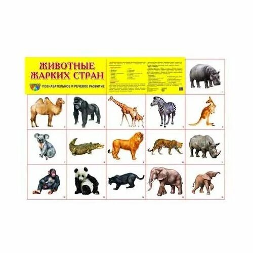 тема недели животные жарких стран старшая группа. животные жарких стран демонстрационный материал. раздаточные карточки домашние питомцы. плакат животные жарких стран для дошкольников. животные жарких стран задания для детей.