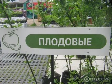 Питомник растений на карте
