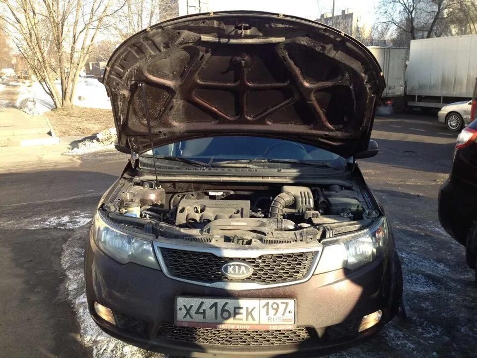 Газовые упоры Киа Церато 2. Капот Церато 2. Капот Kia Cerato 2. Капот Киа Церато 1. Капот kia cerato