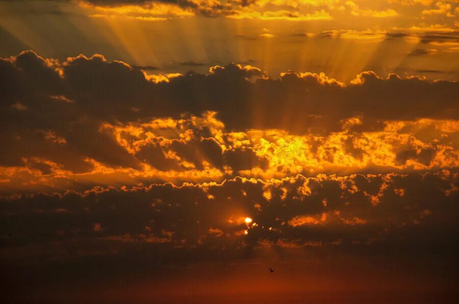 солнце низко.