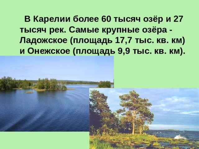 Природа Карелии презентация. Карелия край тысячи озер. Самые большие озера Карелии. Главное озеро Карелии.