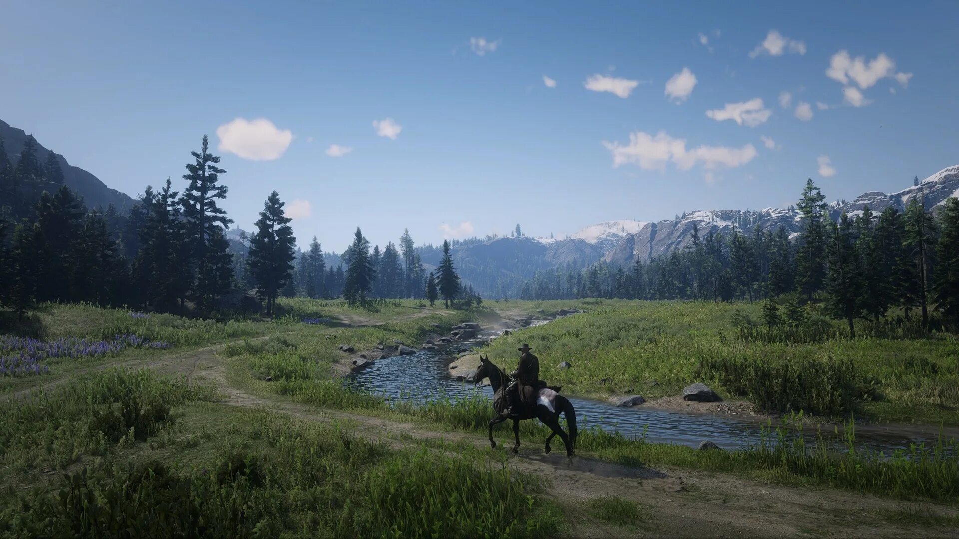 РДР 2. Red Dead Redemption 2 Landscape. Ред дед редемпшен 2. Red Dead Redemption 2 горы.