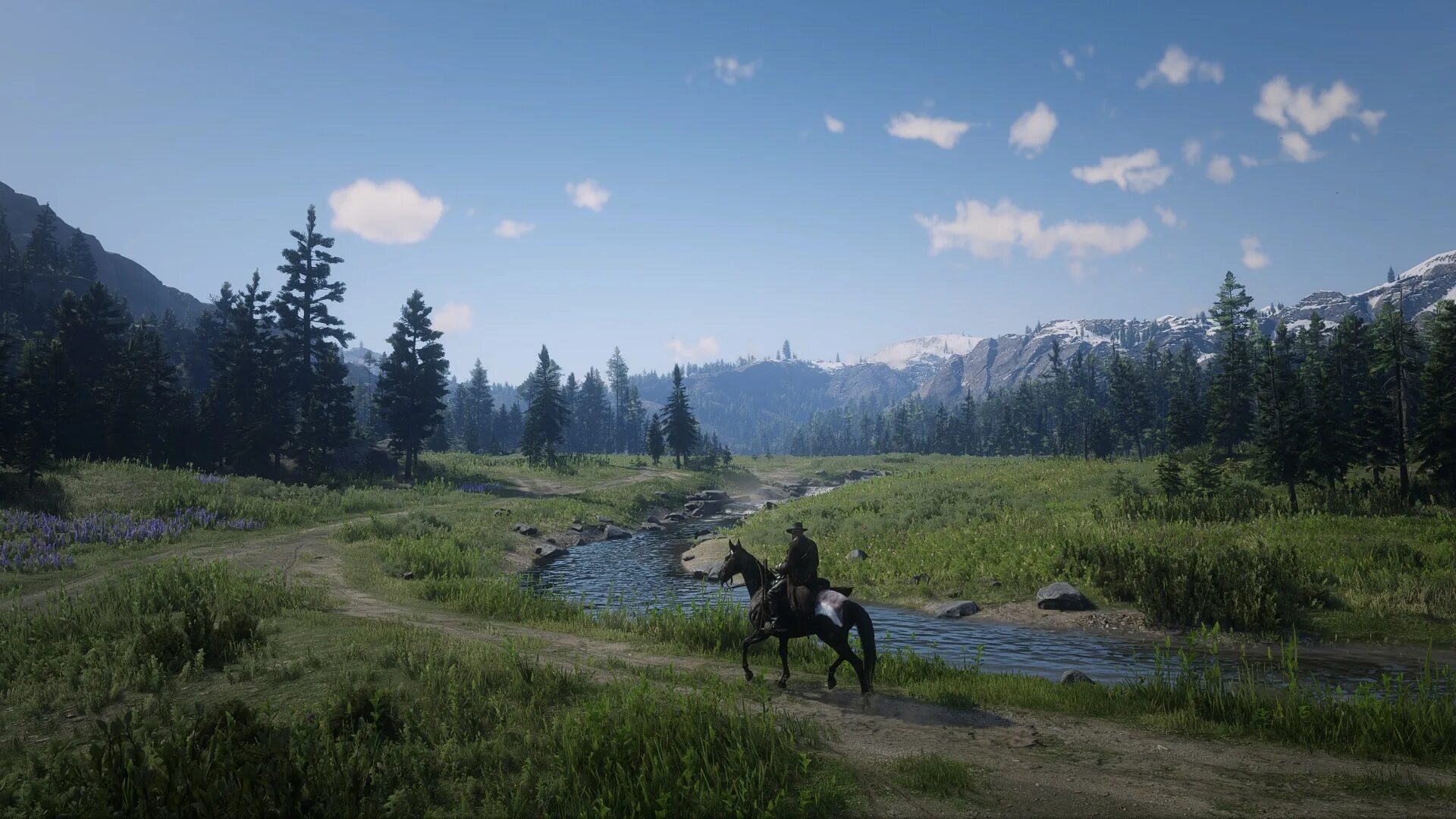 Red dead redemption 2 природа. РДР 2. Red Dead Redemption 2 Landscape. Ред дед редемпшен 2. Red Dead Redemption 2 горы.