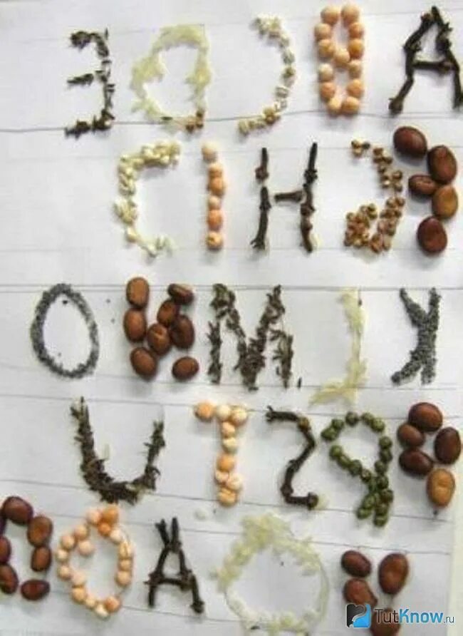 Витамин е (vitamin e). Буквы из крупы. Буква из природного материала поделка. Буквы из семечек. Буква из материала природного материала.