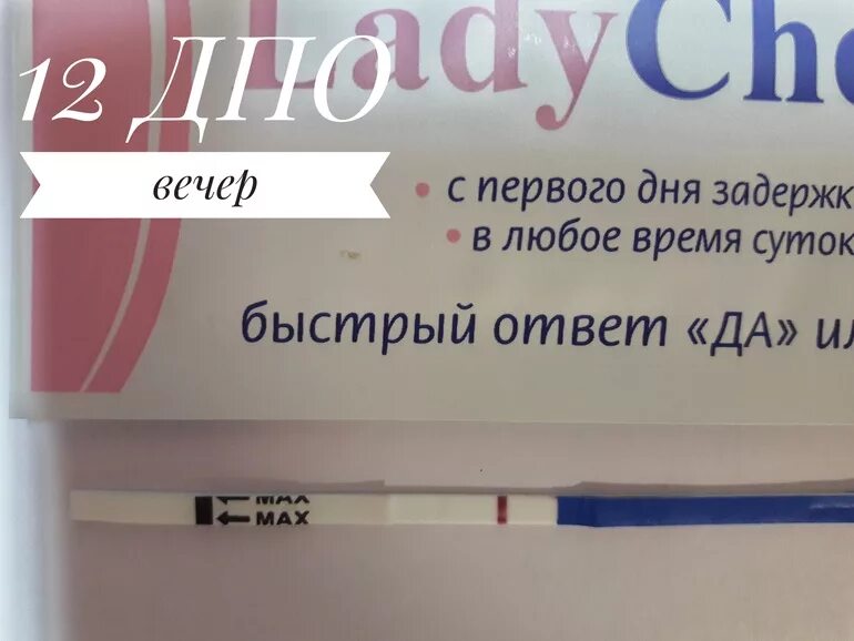 Ранние тесты на беременность до задержки форум. Тест леди чек 9 ДПО. Lady check 12 ДПО. 13 ДПО тест леди чек. Тест леди чек на 8 ДПО.