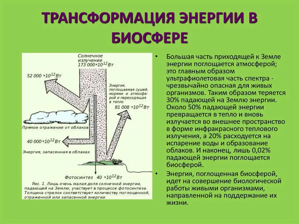 Мощность биосферы. Трансформация энергии в биосфере. Превращение энергии в биосфере. Виды превращения энергии. Трансформация солнечной энергии.