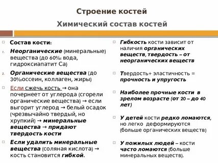 Костя по составу