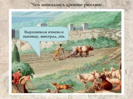 Что выращивали римляне