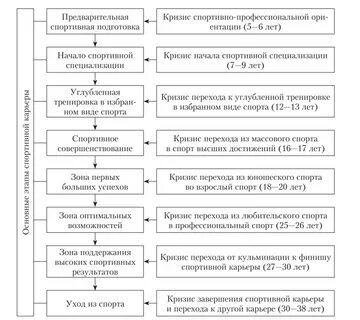 Перечислить этапы спортивной