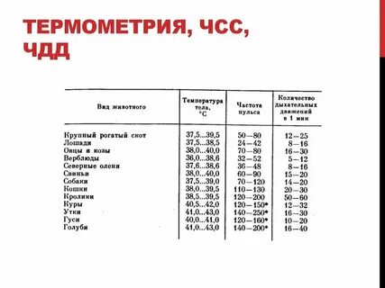 Частота дыхания дыхательных движений в минуту