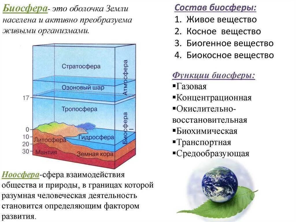 4 живая оболочка земли. Структура биосферы. Биосфера строение биосферы. Биосфера схема. Строение биосферы земли.