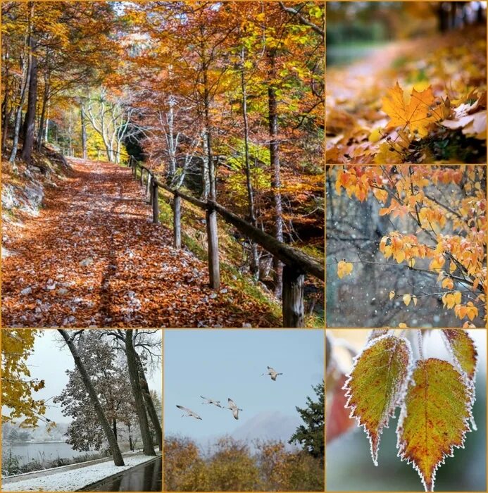 Приходит октябрь. Прощаемся с осенью. Октябрь на пороге. Октябрь уходит. Прощание с осенью природа.