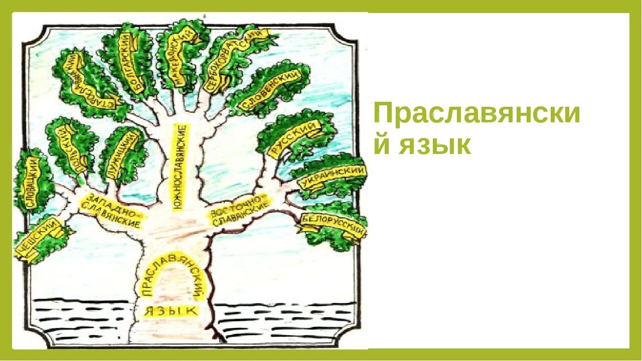 Древо прав. Древо языков происхождение русский. Праславянский язык дерево. Происхождение русского языка дерево. Древо славянских языков.