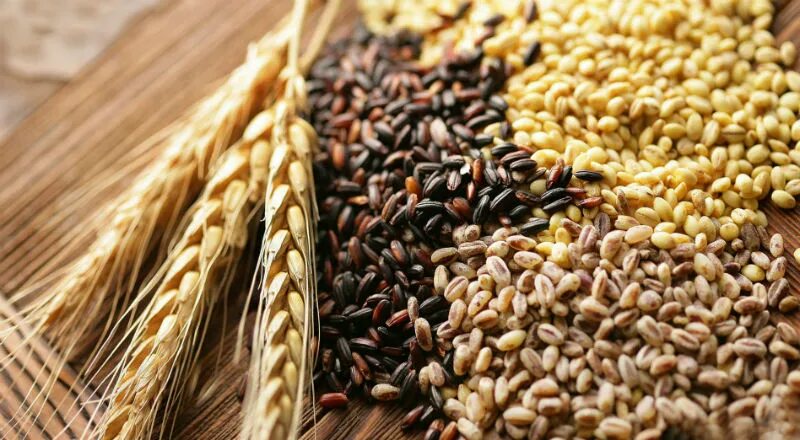 Хранение семян и зерна. Обработка пшеницы. Семенное зерно в складах. Хранение пшеницы.