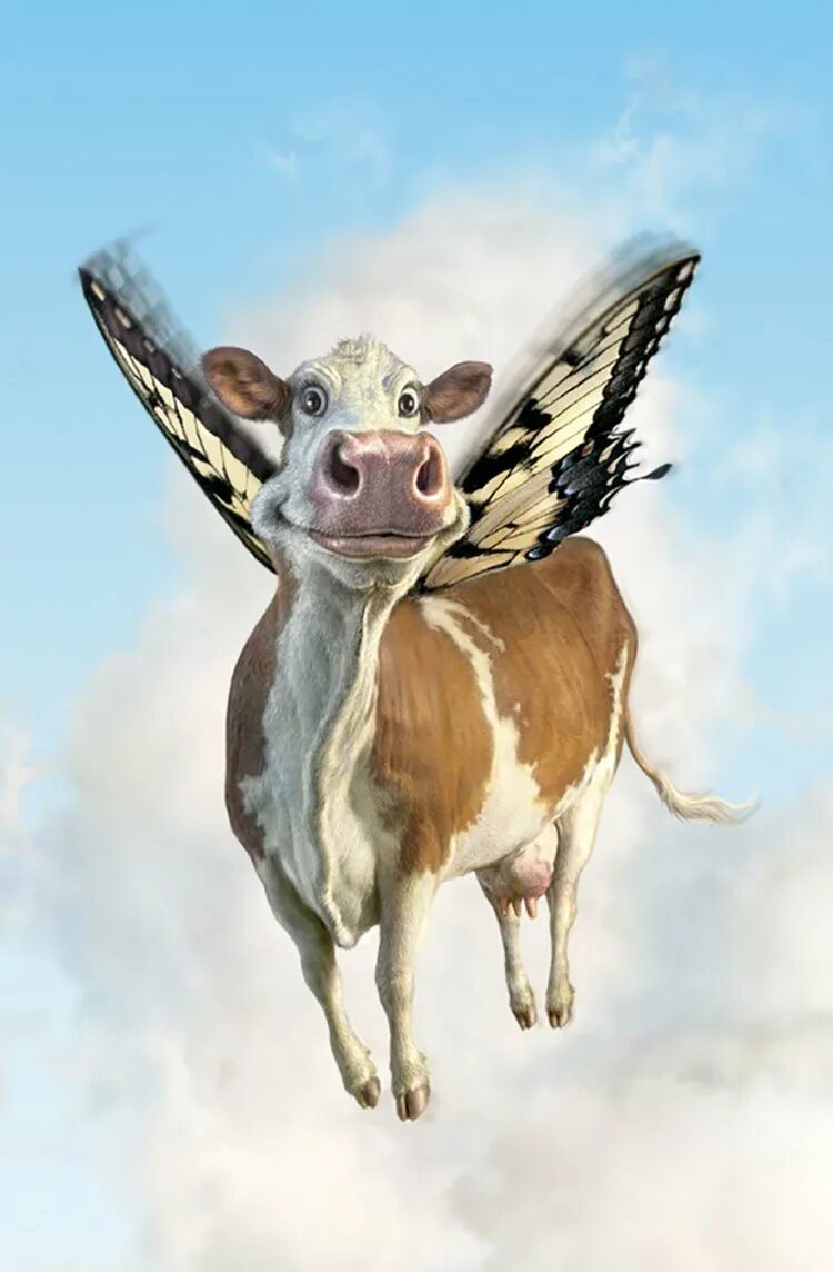 Летающая коровка. Летающая корова. Летать. Корова с крыльями. Корова.