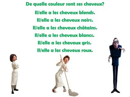 Ils sont