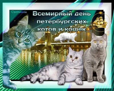 8 июня день кошек