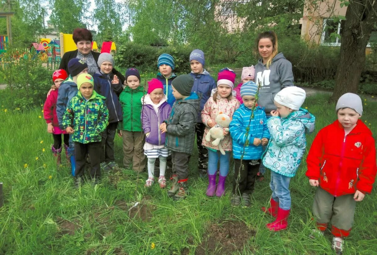 Погода в тайцах на неделю. Таицкая школа Гатчинский район. День защиты детей посади дерево. Школа в Тайцах Гатчинский район. Детский сад в Тайцах.