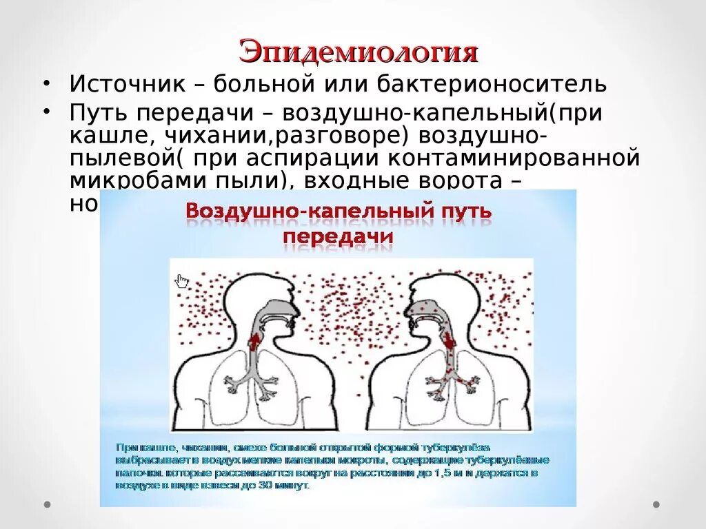 Воздушно капельным или воздушно пылевым