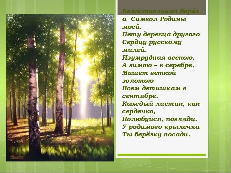 Белоствольная береза символ Родины моей. И Агеева белоствольная берёза. Белоствольная береза символ Родины моей стихотворение Автор. Белоствольная береза символ Родины Автор. Что олицетворяет береза в стихотворении васильева