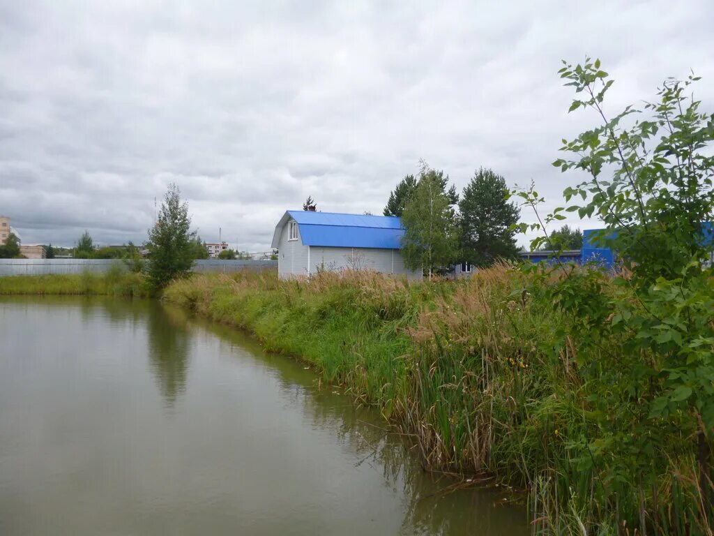 черкесск сауна банька на дровах. банька на дровах калуга. банька на дровах калуга. банька берлога. шишкина 40 белгород баня.