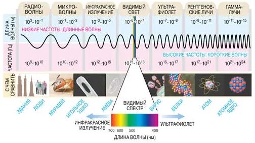 Какой частотой у него