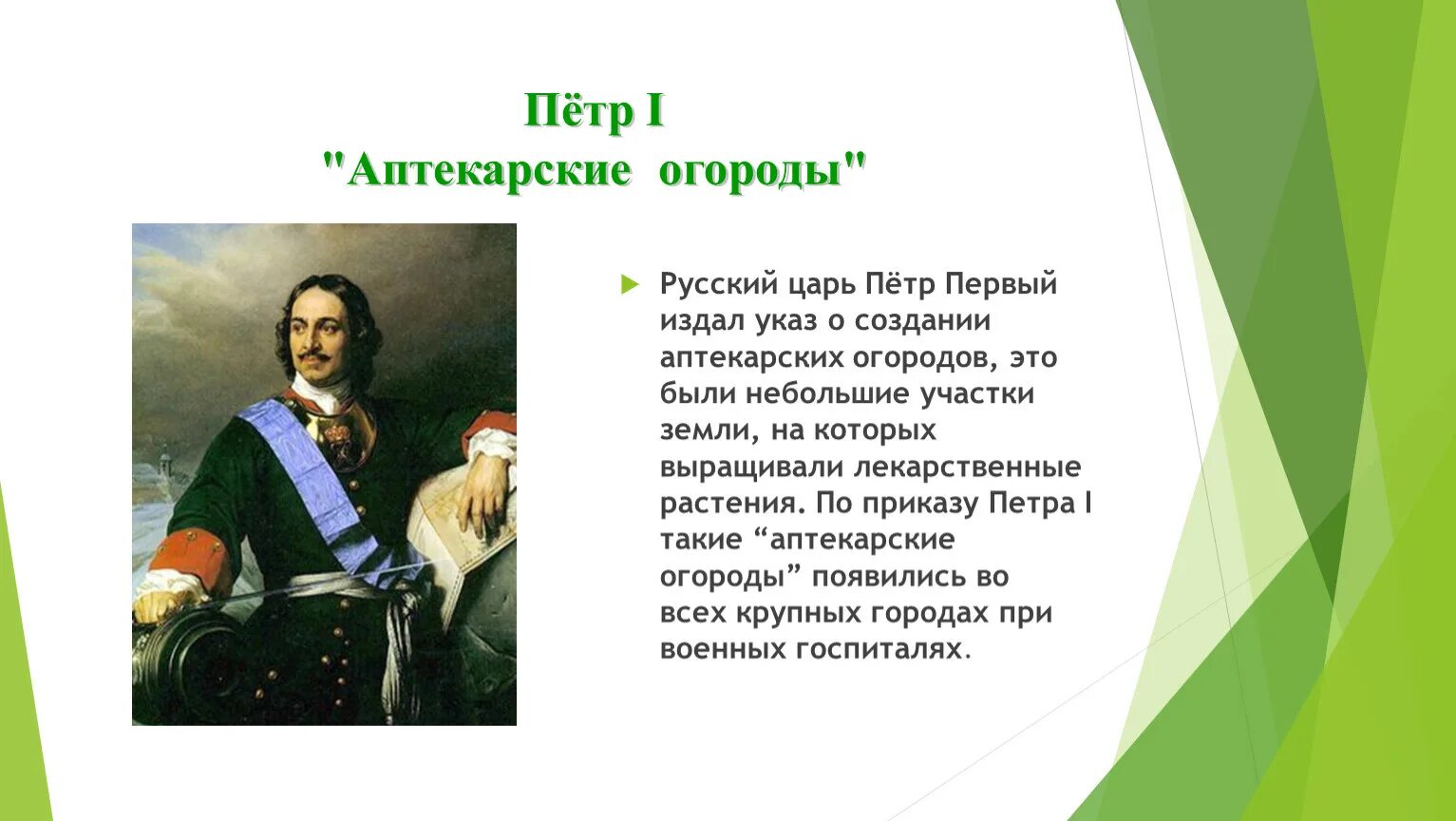 Статус петра первого. Достижения Петра 1 для России. Создание Аптекарского огорода при Петре.