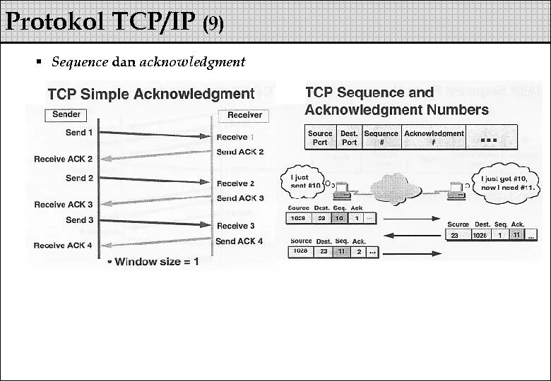 Tcp последовательность. Tcp sequence number. acknowledgment. acknowledgments. tcp  protokollar steki to &#039; g &#039; risidagi ma &#039; lumotnoma mavzusidan.