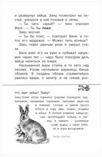Заячьи лапы тест 5 класс с ответами