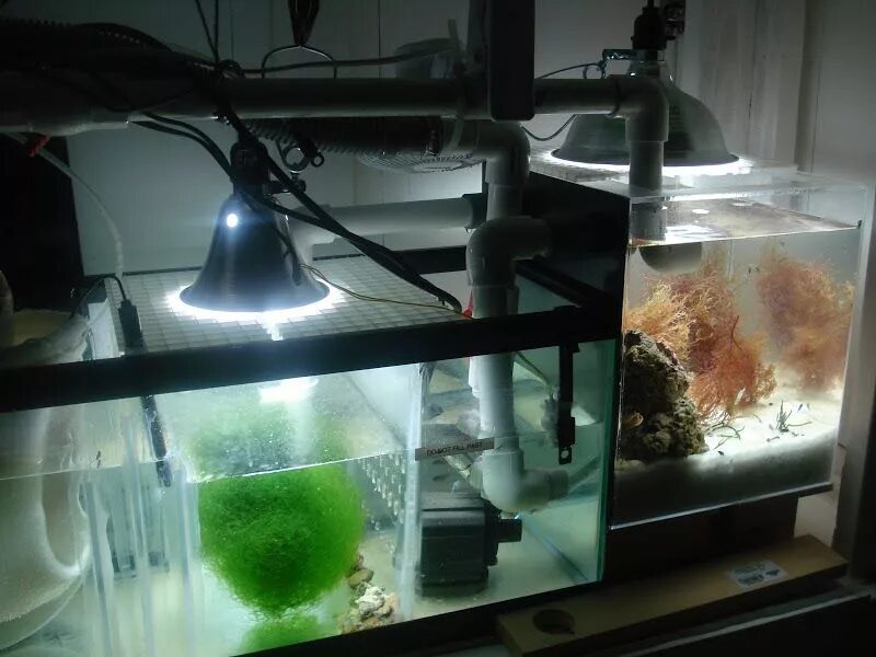 Система аквариума. Фильтр для аквариума донный донный. водорослевик для морского аквариума. система донного фильтрация для аквариума. фильтр для морского аквариума.