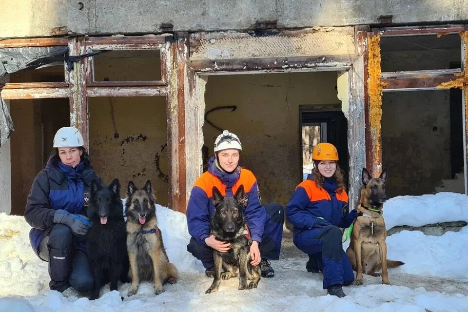 Кинолог МЧС. Кинологическая служба МЧС России. Поисково-спасательная служба собак. Поисково спасательная Кинологическая служба.