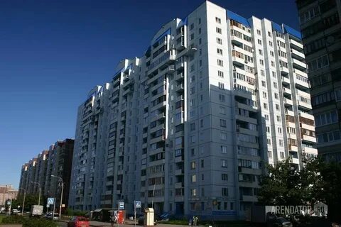 Королева 8 к 1