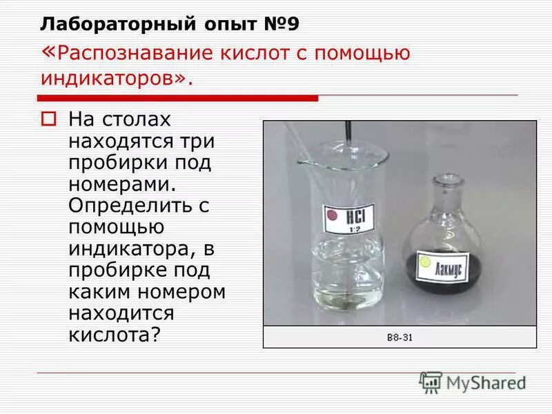 Лило и стич 009. Красивые эксперименты с водой. Эксперимент 9. Опыт с корабликами на воде. Лило и стич эксперименты.