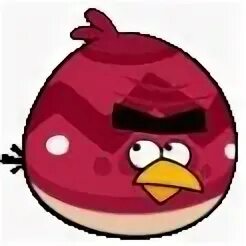 Angry Birds Теренс. Angry Birds большой брат. Теренс и свиньи. Игра Angry Birds Red Ball 4.