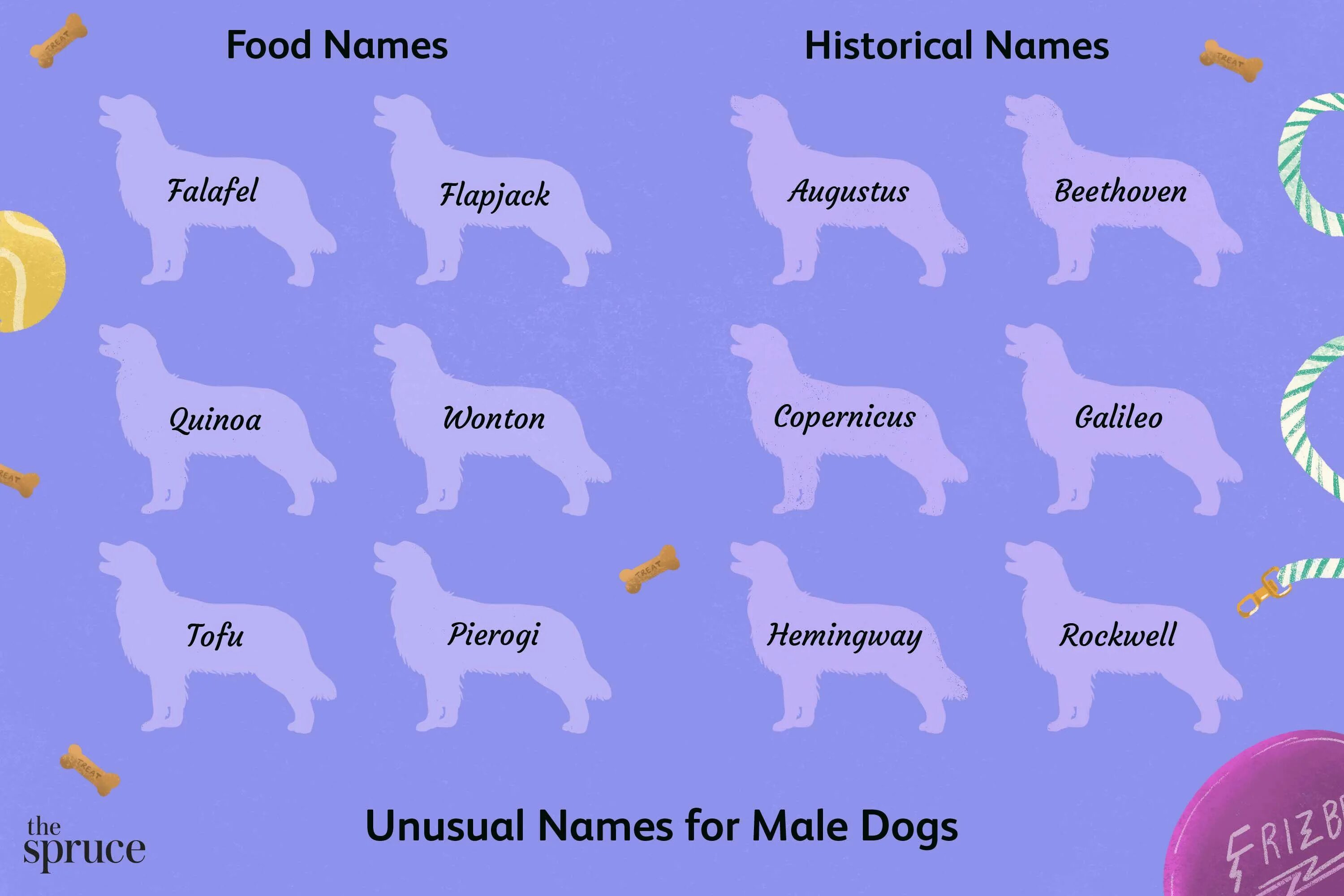 Dogs s names are. Имена для собак девочек. Красивые имена для собак. Клички для собак мальчиков. Кличка для щенка мальчика.