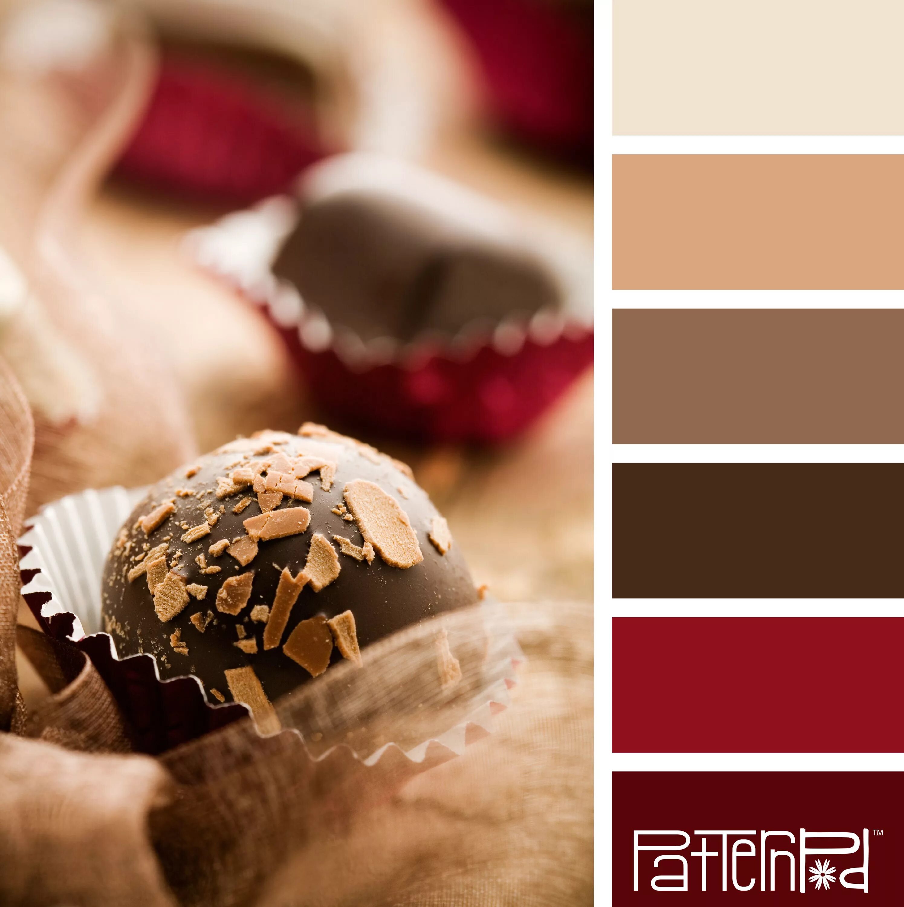 Цвет капучино палитра. Цветовая палитра дарк академия. Brown palette. Цветовая палитра color. Romanuke.