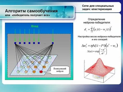 Алгоритмы сеть