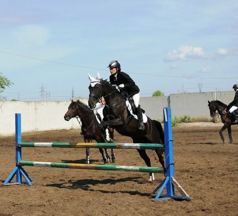 Конный клуб сызрань. Кск виола сызрань. кск буденновец самара. конно-спортивный комплекс виола, сызрань.