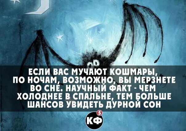Цитаты спящих. Интересные факты и цитаты. цитаты про сон. цитаты о фактах. интересные факты о ночи.
