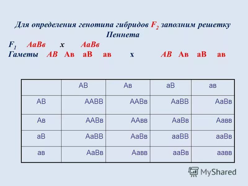 Организм с генотипом аавв образует