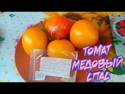 Медовый спас томаты урожайность