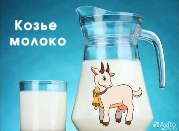 Реализуем молоко. Козье молоко. Коза молоко. Козье молоко козье молоко. Продается козье молоко.