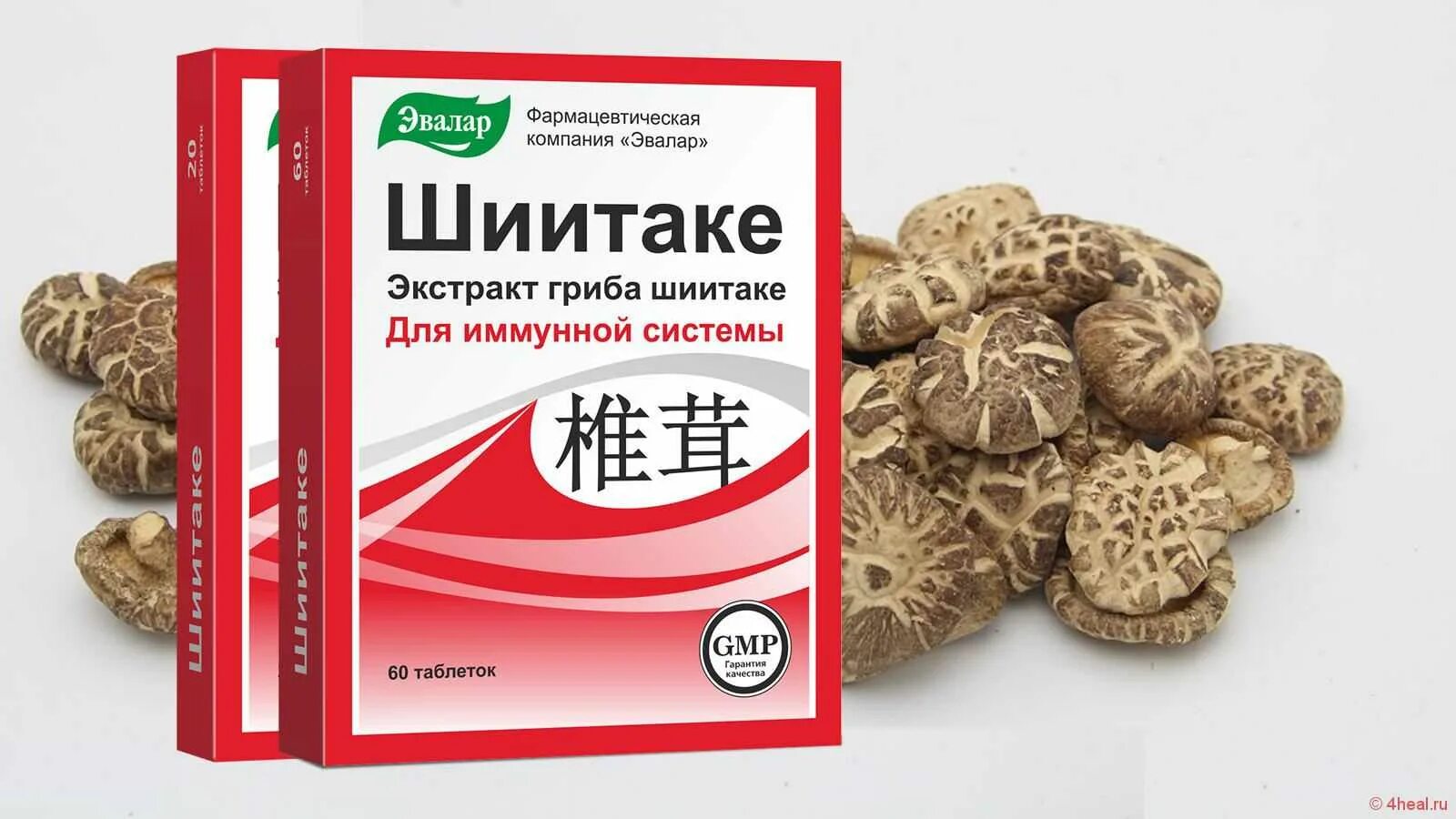 Грибы шиитаке свойства. Шиитаке гриб Эвалар. Гриб рейши Эвалар. Препараты из шиитаке,рейши. Шиитаке лекарство.