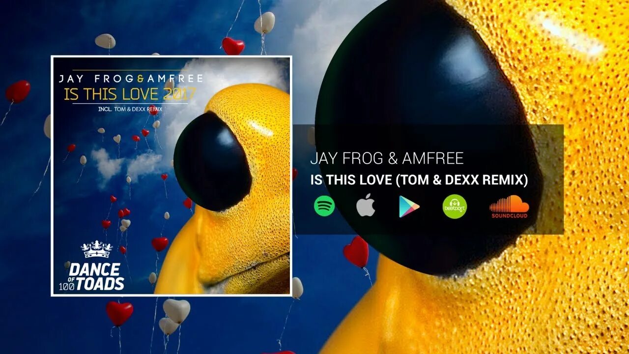 Deep in love tom. Джей Фрог. Джей Фрог скутер. Джей Фрог.Джей Фрог.Джей Фрог. Jay Frog 2023.