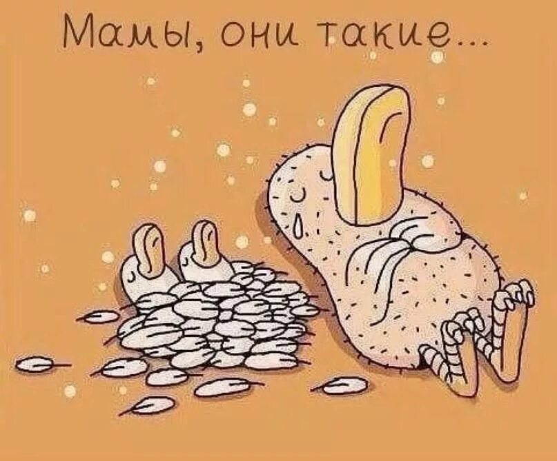 Приколы про выходные. Мамы они такие мем. Шутки про юбку. С днем матери смешные картинки. Демотиваторы про выходные.