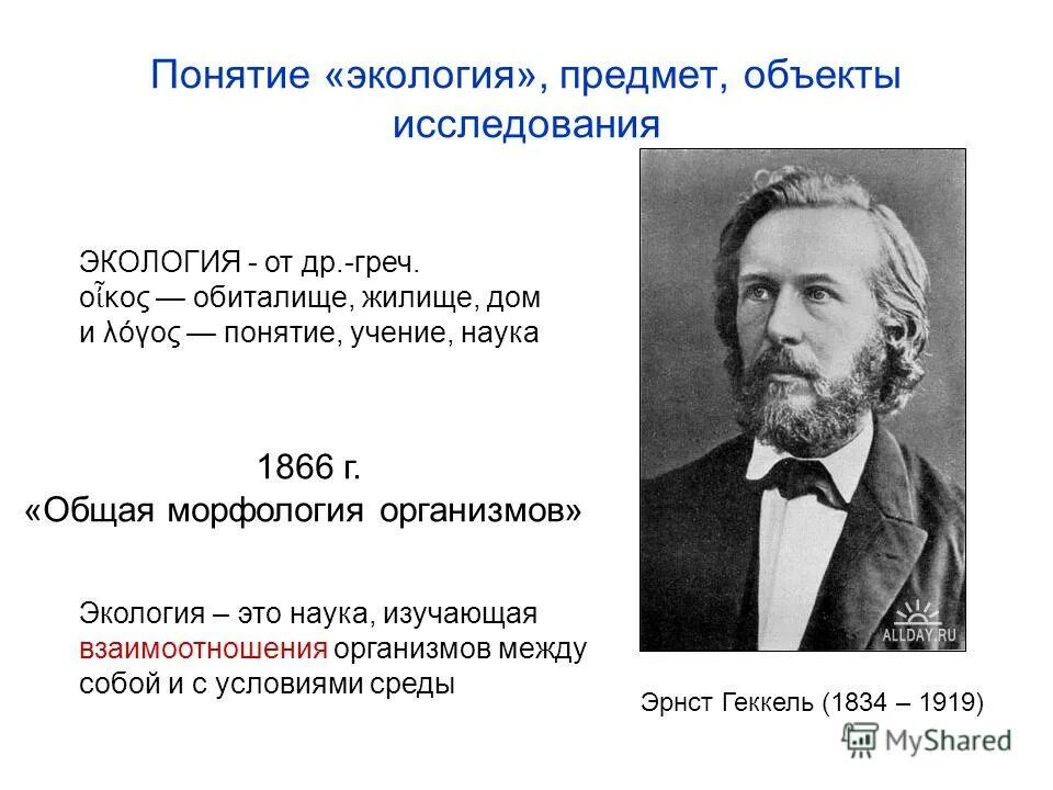 Понятие экология. Термин экология. Термины по экологии. Экологические понятия.