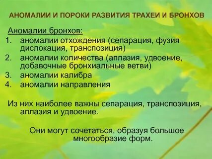 Пороки синоним